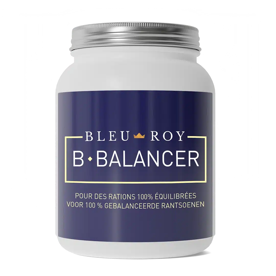 Bleu-Roy B-Balancer