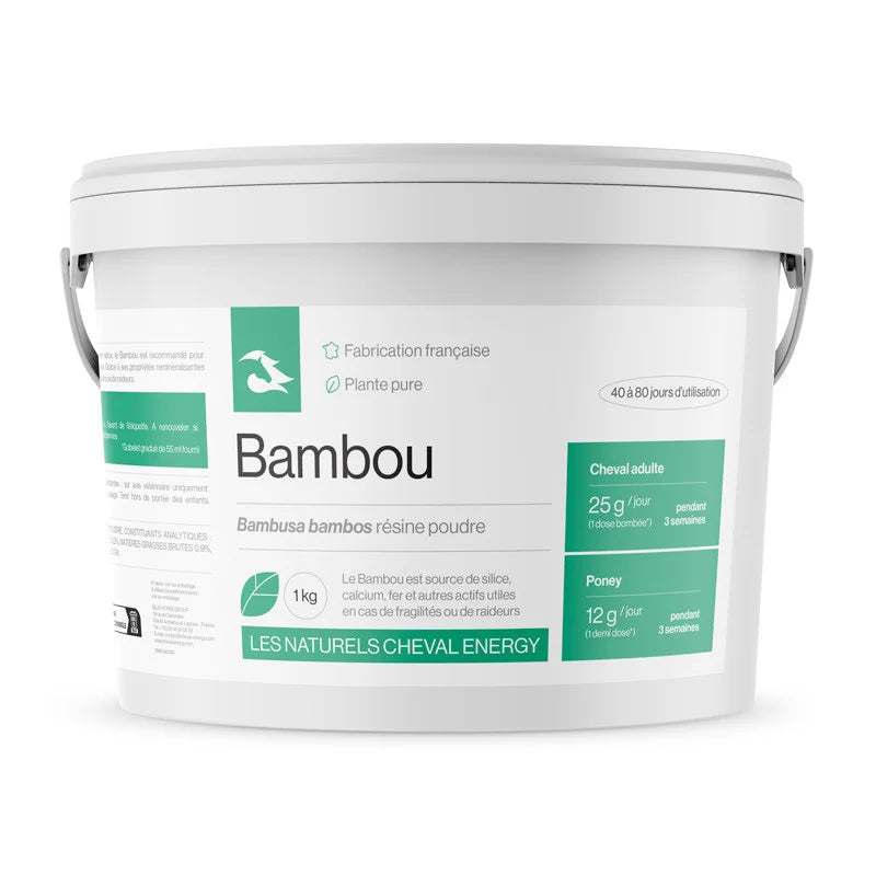 Bambou Cheval Energy