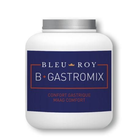 Bleu-Roy B-Gastromix