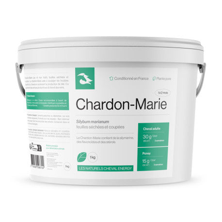 Cheval Energy Chardon-Marie