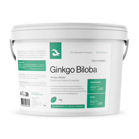 Cheval Energy Ginkgo Feuilles