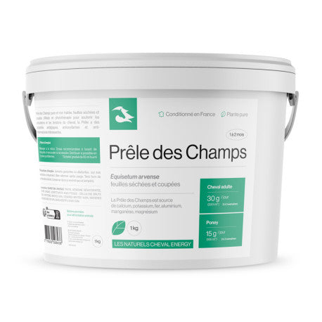 Cheval Energy Prêle des Champs