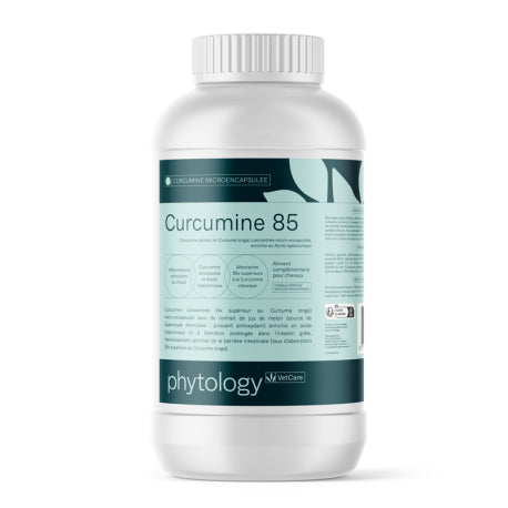 Phytology VetCare Curcumine 85