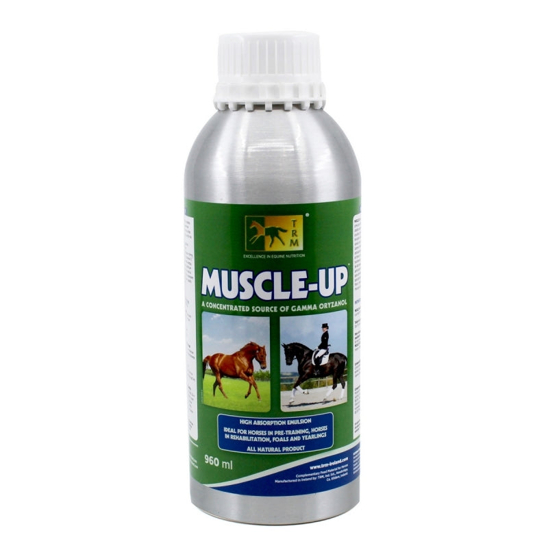 TRM Muscle Up