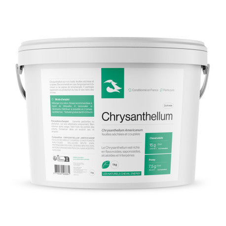 Cheval Energy Chrysanthellum