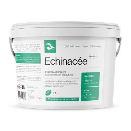 Cheval Energy Echinacée