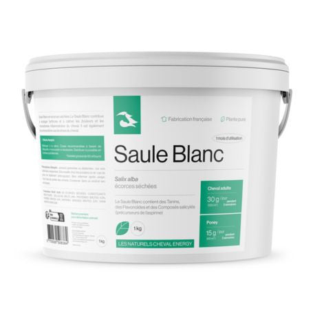 Cheval Energy Saule Blanc